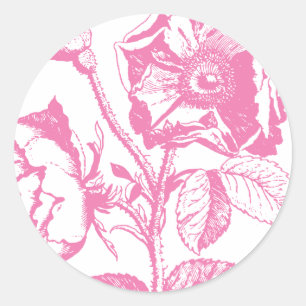Rosa antike Rose Runder Aufkleber