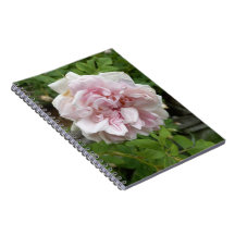 Rosa antike Rose SpiralNotebook