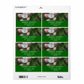 Rosa Apfelwein Blume Grüne Adressetikette (Vorne)