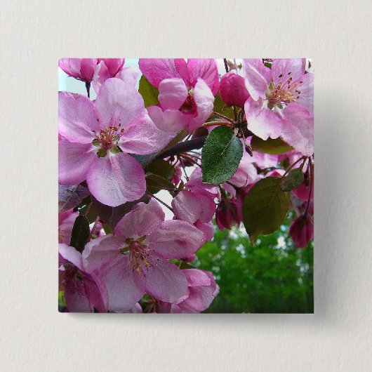 Rosa Apple-Blüten Button (Vorderseite)