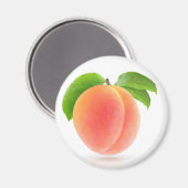 Rosa Aprikose Magnet (Vorderseite/Rückseite)