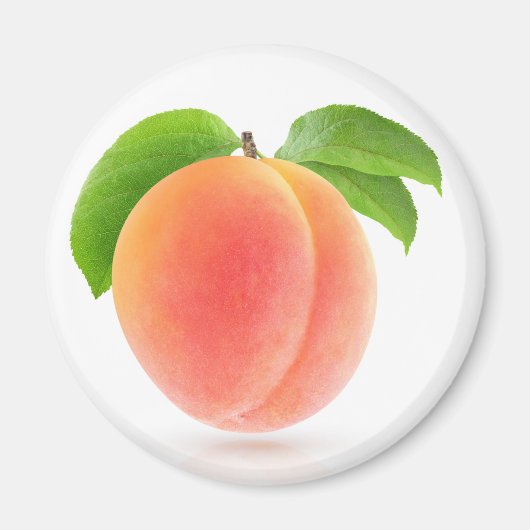 Rosa Aprikose Magnet (Vorne)