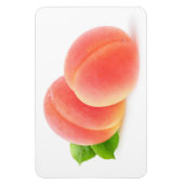 Rosa Aprikosen Magnet (Vertikal)