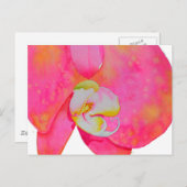 Rosa Aquarellfarbe Orchideenmalerei Postkarte (Vorne/Hinten)