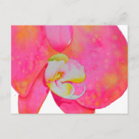 Rosa Aquarellfarbe Orchideenmalerei