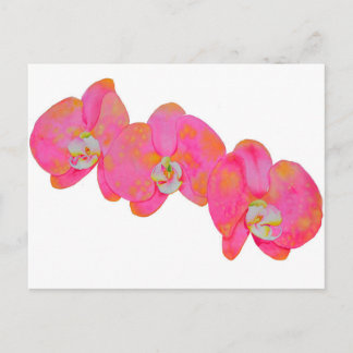 Rosa Aquarellfarbe Orchideenmalerei Postkarte