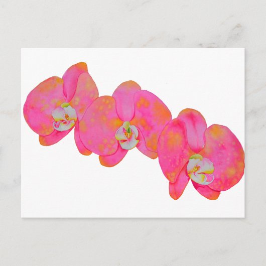 Rosa Aquarellfarbe Orchideenmalerei Postkarte (Vorderseite)