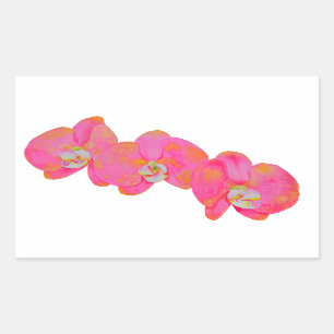 Rosa Aquarellfarbe Orchideenmalerei Rechteckiger Aufkleber