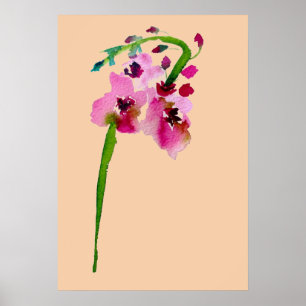Rosa Aquarellfarbe Verbascum Blume Poster