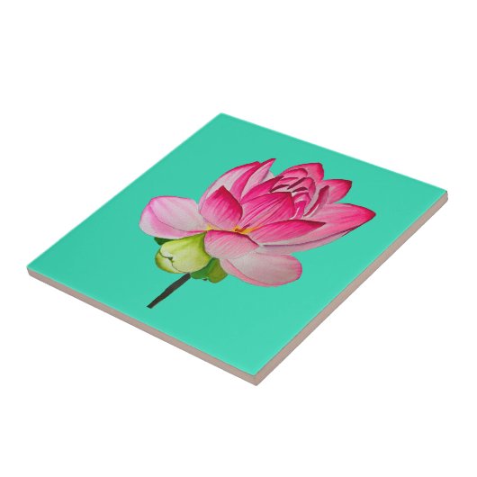 Rosa Aquarelllotus Blume Kunst Fliese (Seite)