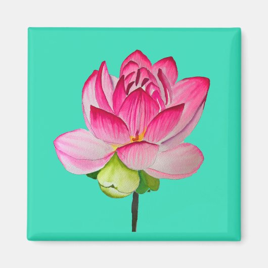 Rosa Aquarelllotus Blume Kunst Magnet (Vorne)