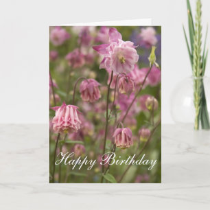 Rosa Aquilegia ... Karte