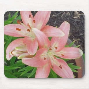 Rosa asiatische Lilien Mousepad