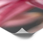 Rosa Asiatische Lily Blume Foto Poster (Ecke)