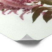 Rosa Astilbe Blume Art Print Poster (Ecke)