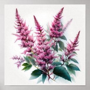 Rosa Astilbe Blume Art Print Poster