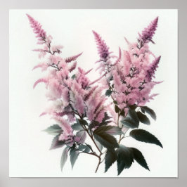 Rosa Astilbe Blume Art Print Poster