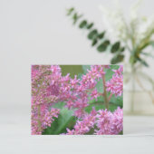 Rosa Astilbe Blume Postkarte (Stehend Vorderseite)
