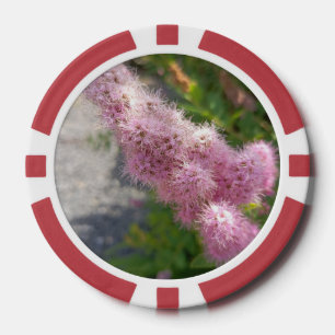 Rosa Astilbe-Blumen-Blumen-Pokerchips für den Gart Pokerchips
