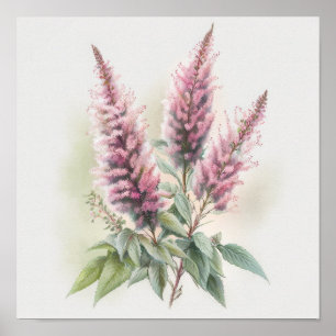 Rosa Astilbe Blumen Kunst Druck Poster