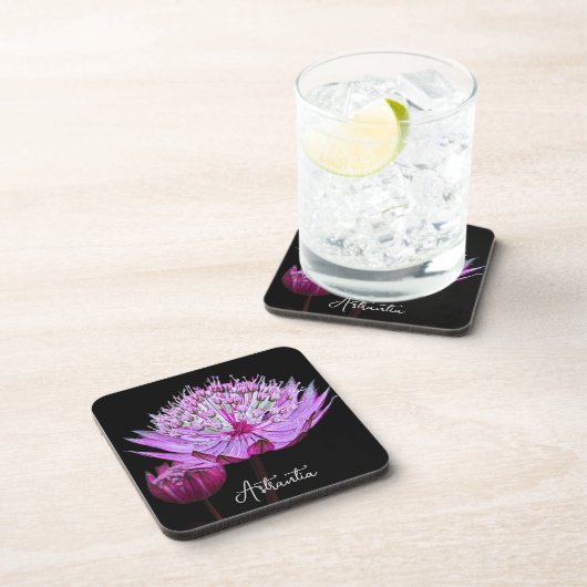 Rosa Astrantia-Blume Getränkeuntersetzer (Rechte Seite)