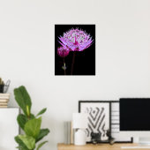Rosa Astrantia-Blume Poster (Heimbüro)