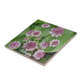 Rosa Astrantia Blumen Fliese (Seite)