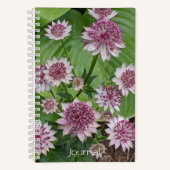 Rosa Astrantia Blumen Notizblock (Vorderseite)
