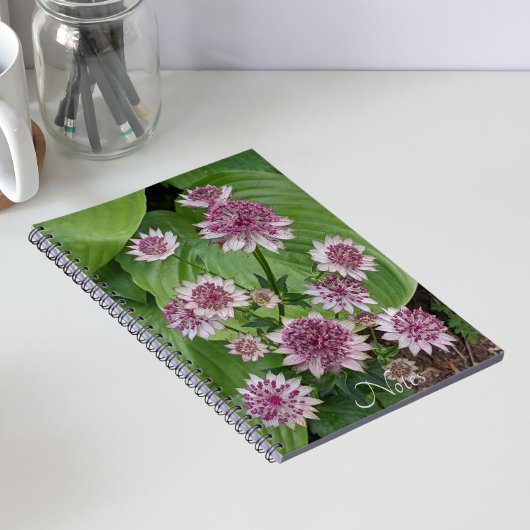 Rosa Astrantia Blumen Notizblock