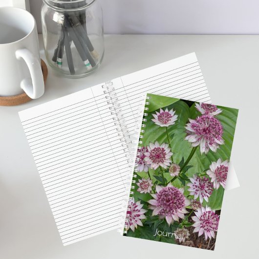 Rosa Astrantia Blumen Notizblock