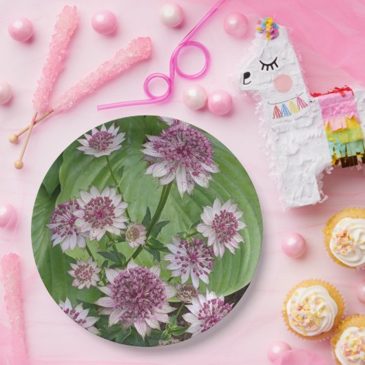 Rosa Astrantia Blumen Pappteller (Party)