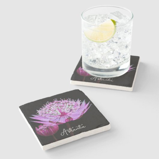 Rosa Astrantia-Blüte auf schwarzem Floral Steinuntersetzer (Seitenansicht)