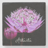 Rosa Astrantia-Blüte auf schwarzem Floral Steinuntersetzer (Vorderseite)