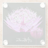 Rosa Astrantia-Blüte auf schwarzer floraler Oberfl Glasuntersetzer (Rückseite)