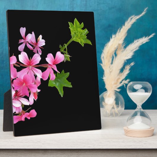 Rosa auf schwarz fotoplatte (Seite)