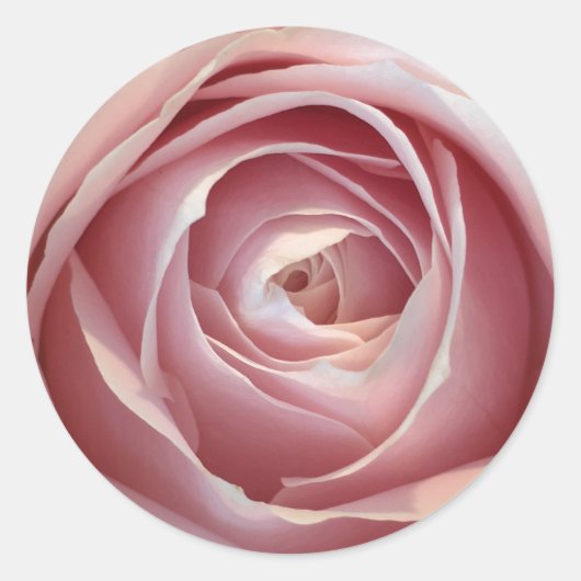 Rosa Aufkleber (Vorderseite)