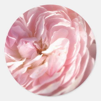 Rosa Aufkleber