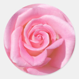 Rosa Aufkleber