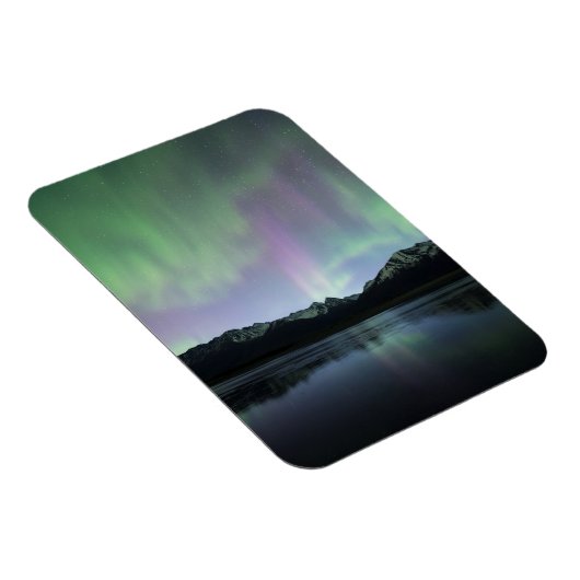 Rosa Aurora Magnet (Rechte Seite)