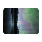 Rosa Aurora Magnet (Horizontal)