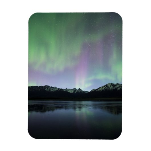 Rosa Aurora Magnet (Vertikal)