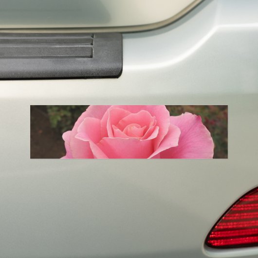 Rosa Autoaufkleber (Auf Auto)
