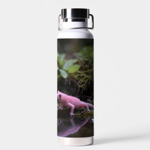rosa Axolotl am Fluss, Trinkflasche