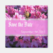 Rosa Azalea blühende Buschhochzeit retten das Datu Magnet (Vorne)