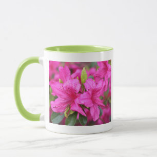 rosa Azalea Blume 杜 鹃 花 Tasse