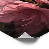 Rosa Azalea Blume Art Print Poster (Ecke)