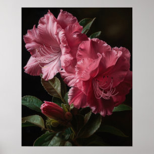 Rosa Azalea Blume Art Print Poster