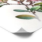 Rosa Azalea Blume Art Print Poster (Ecke)