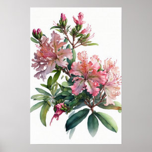 Rosa Azalea Blume Art Print Poster