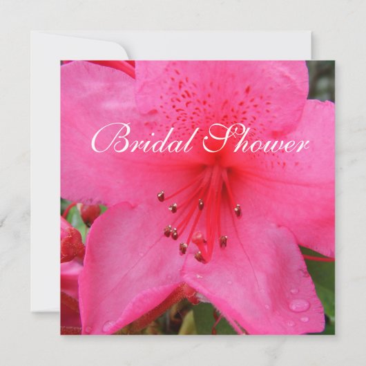 Rosa Azalea Blume Braun-Dusche Einladung (Rückseite)